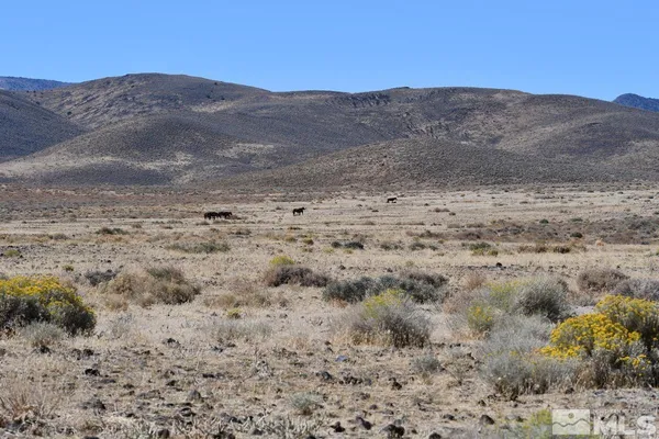 a view of a dry field with mountains in the background