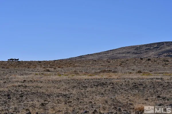 a view of a field with a mountain in the background