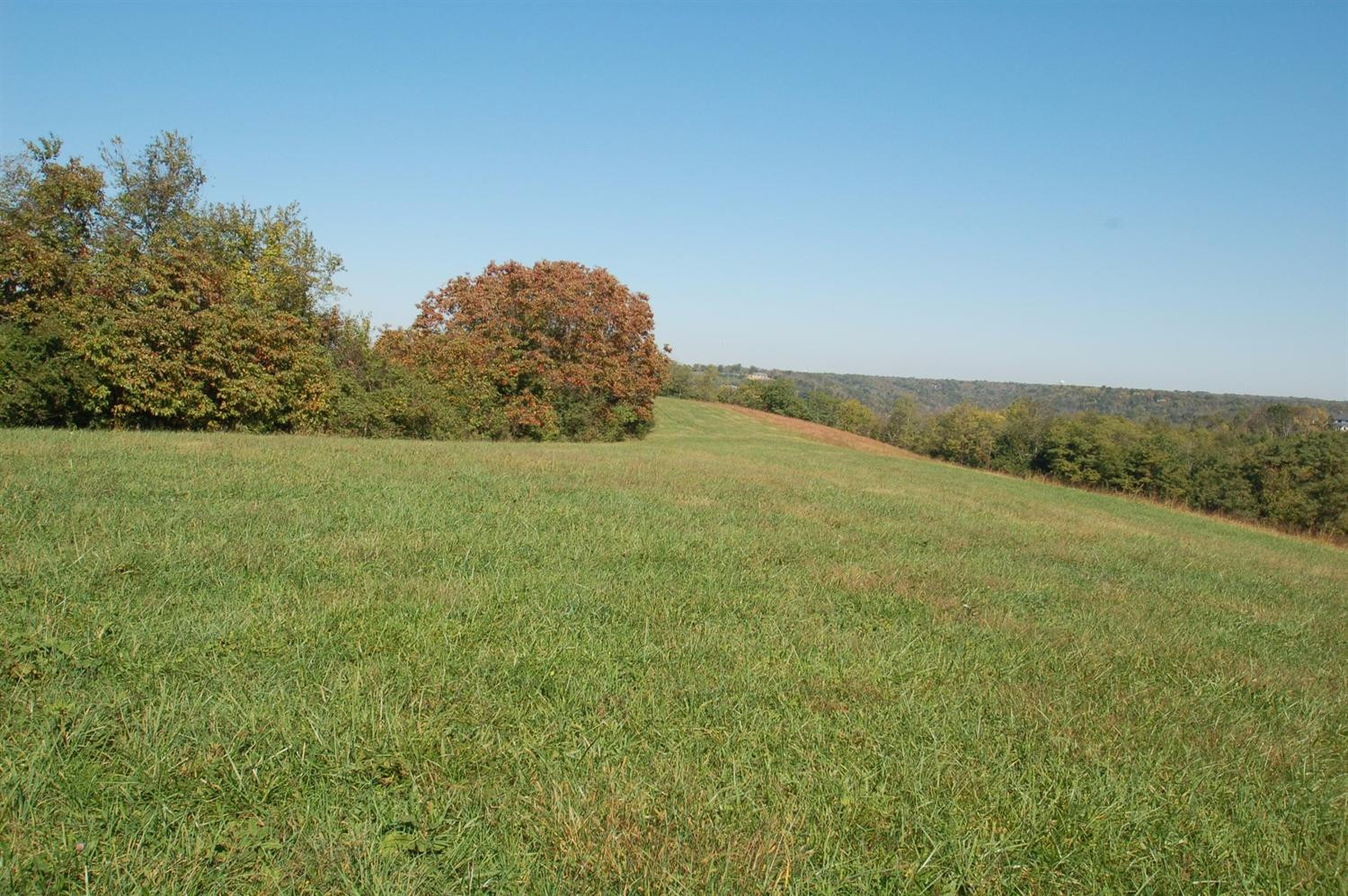 3559 9 Mile Road Melbourne, KY 41059 - Photo 19 of 28 Gallery Image 19