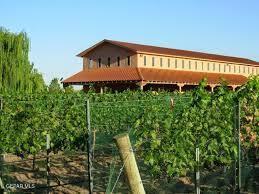 7036 McNutt Road Anthony, NM 88021 - Photo 23 of 23 a front view of a house with a yard