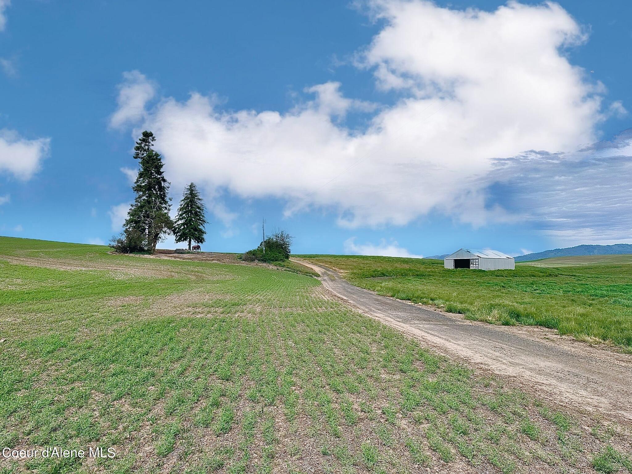 2915 Hangman Creek Road Tensed, ID 83870 - Photo 21 of 24 10 Acre Homesite