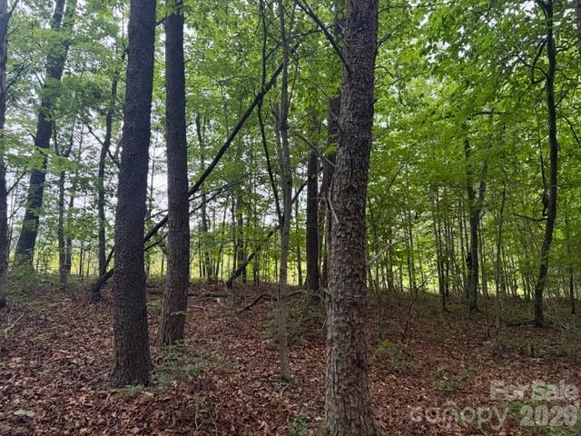 9999 Bill Collins Road Columbus, NC 28722 - Photo 2 of 17