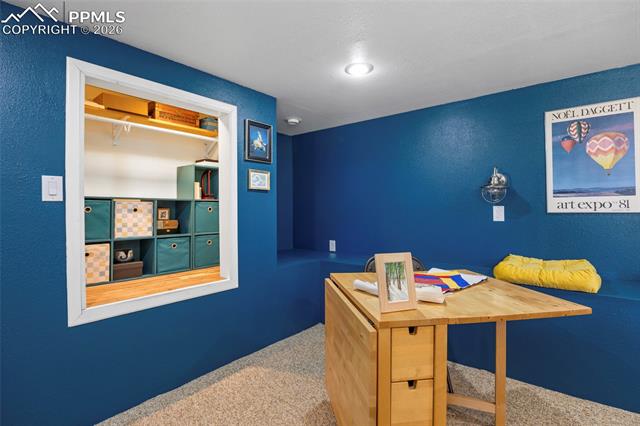 391 Kutsu Ridge Road Florissant, CO 80816 - Photo 34 of 50 Gallery Image 34
