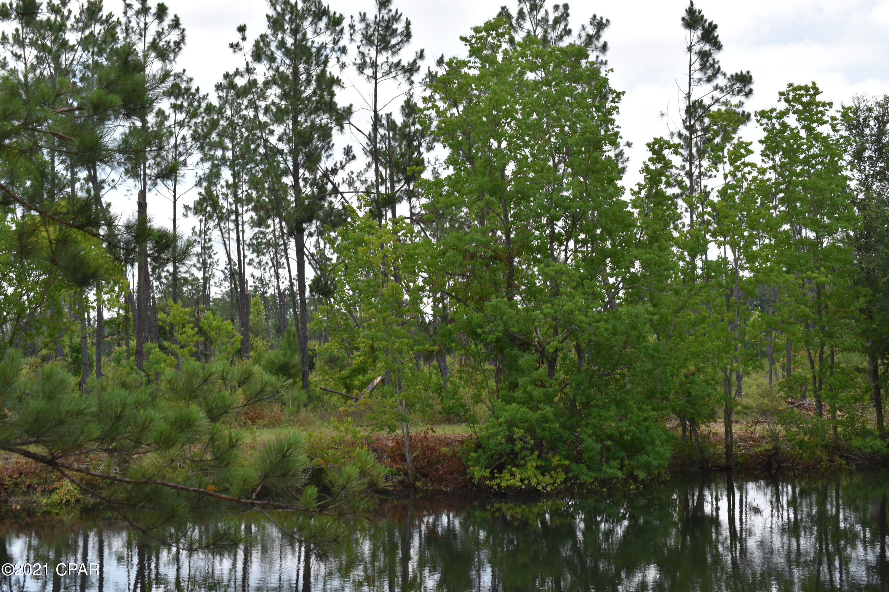 6809 Old Spanish Trail Grand Ridge, FL 32442 - Photo 13 of 24 Gallery Image 13
