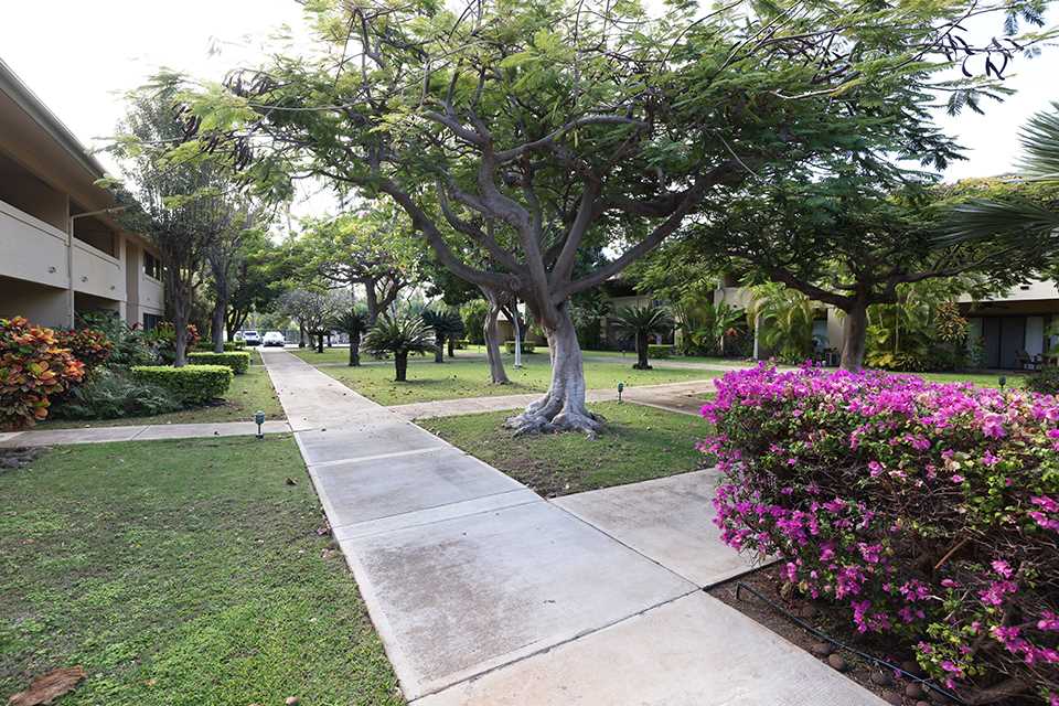 1450 South Kihei Road, Unit C203 Kihei, HI 96753 - Photo 18 of 21 a park view with potted plants and large trees