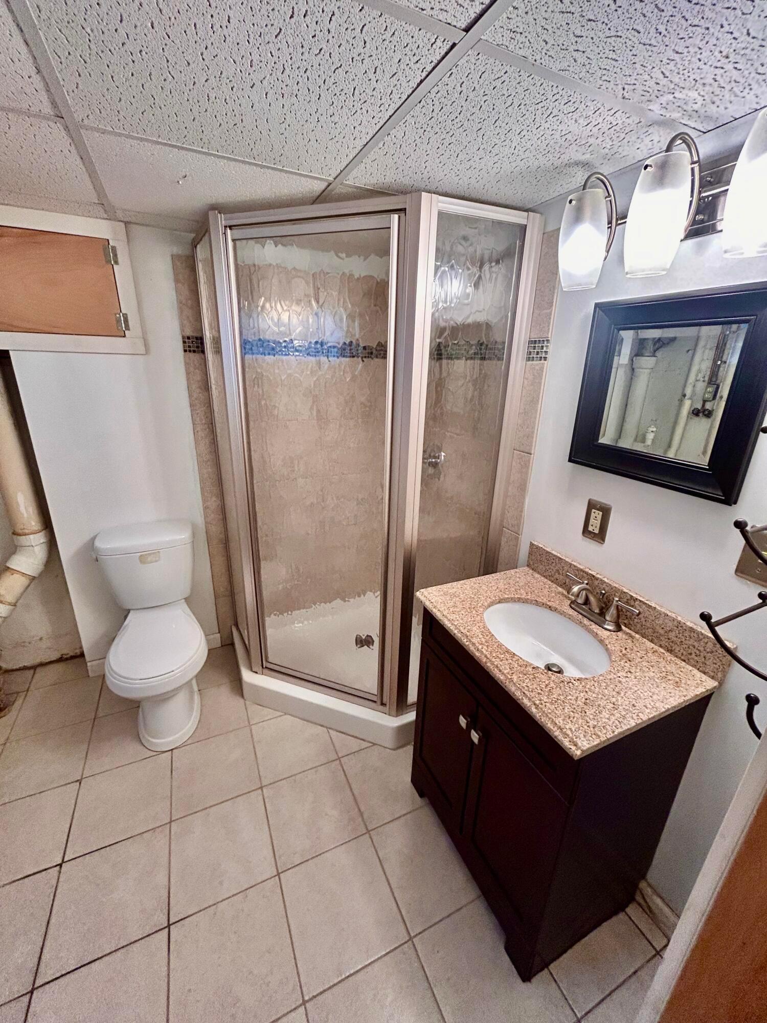 742 South Cassingham Road Bexley, OH 43209 - Photo 39 of 60 Basement full bath