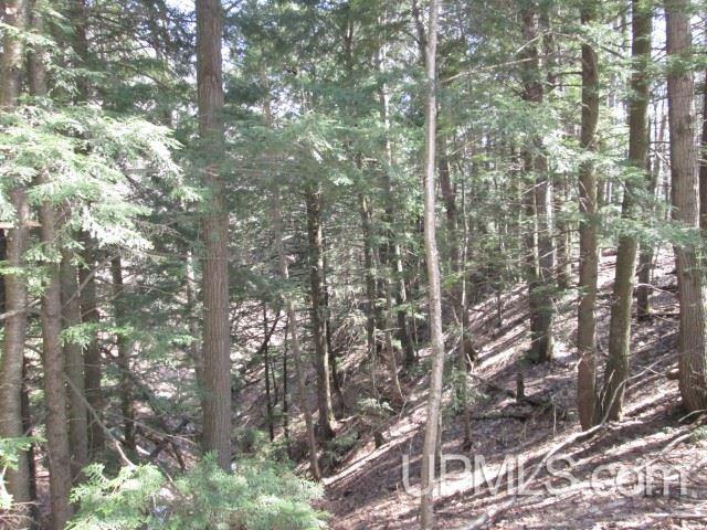 Tbd Golf Course Road Calumet, MI 49913 - Photo 13 of 21