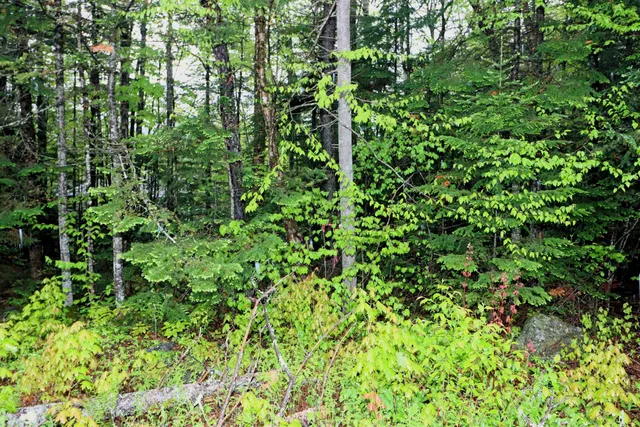$220,000 | 0 West Milan Road, Unit MAP 133 LOT 11, Milan, NH 03588