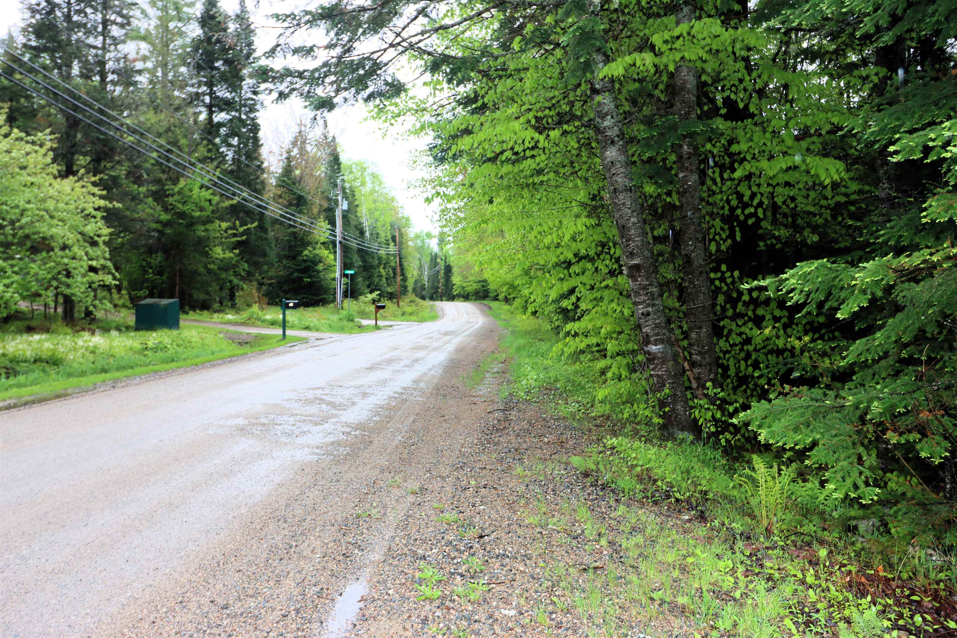 0 West Milan Road, Unit MAP 133 LOT 11 Milan, NH 03588 - Photo 8 of 9