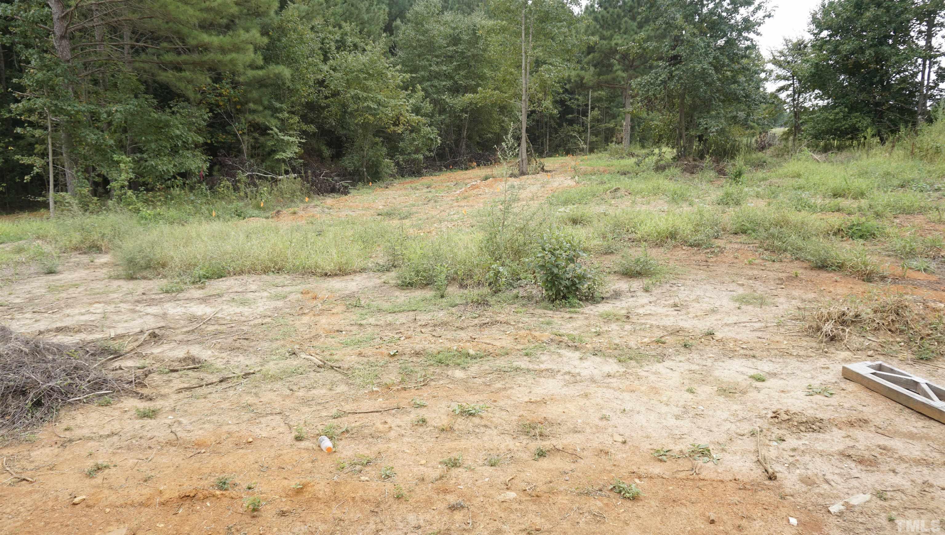 810 Mulberry Road Spring Hope, NC 27882 - Photo 17 of 25 a view of a yard with a tree