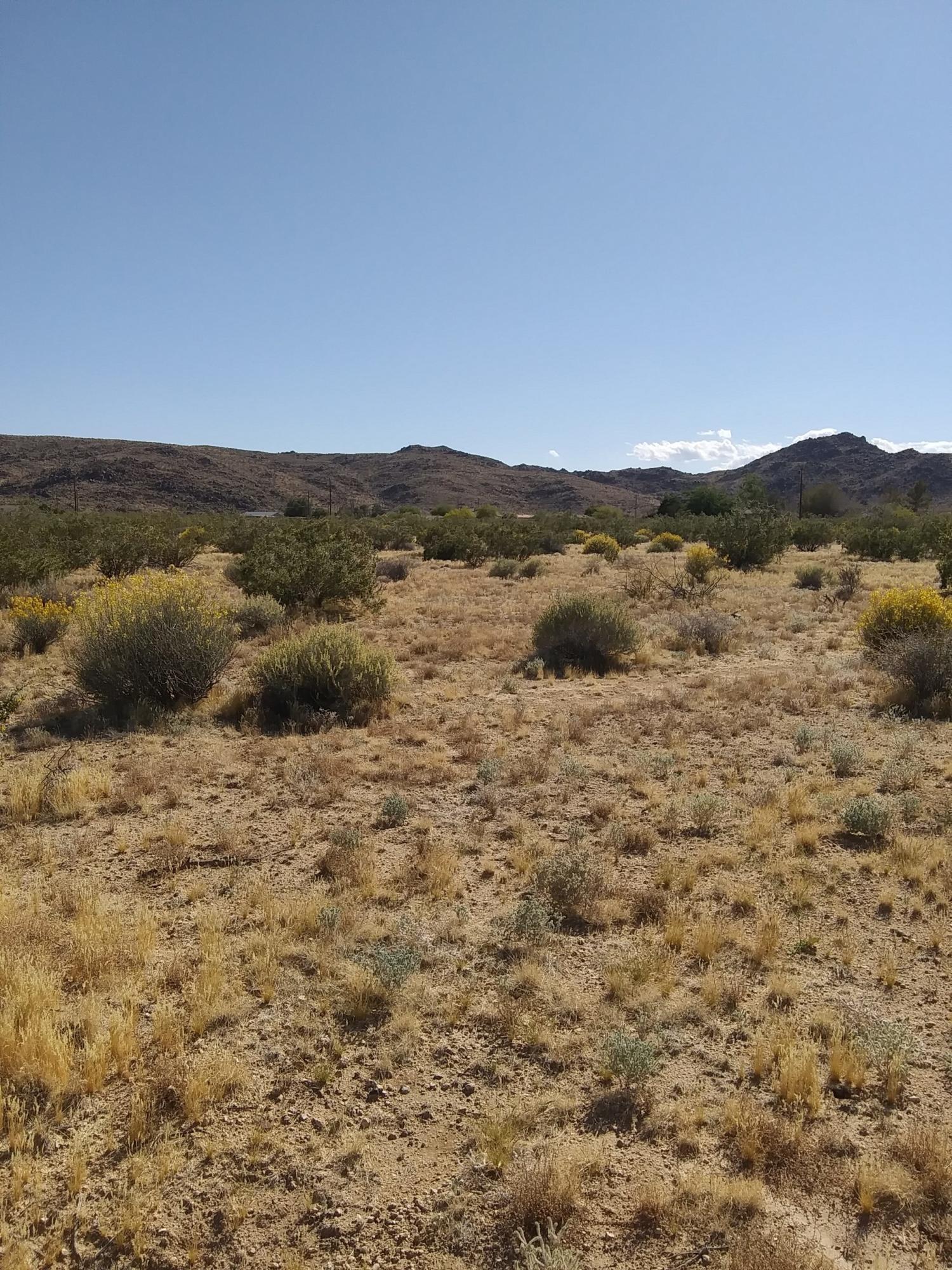 0 Shadow Ranch Joshua Tree, CA 92252 - Photo 3 of 5 113936 moonshadow lot 4
