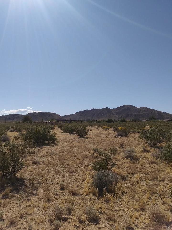 0 Shadow Ranch Joshua Tree, CA 92252 - Photo 4 of 5 113938 moonshadow lot 1