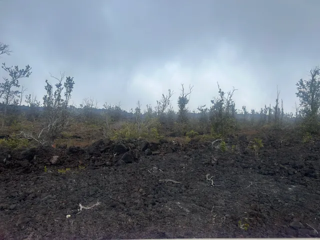 $20,000 | 6 Sea View Drive, Ocean View, HI 96737