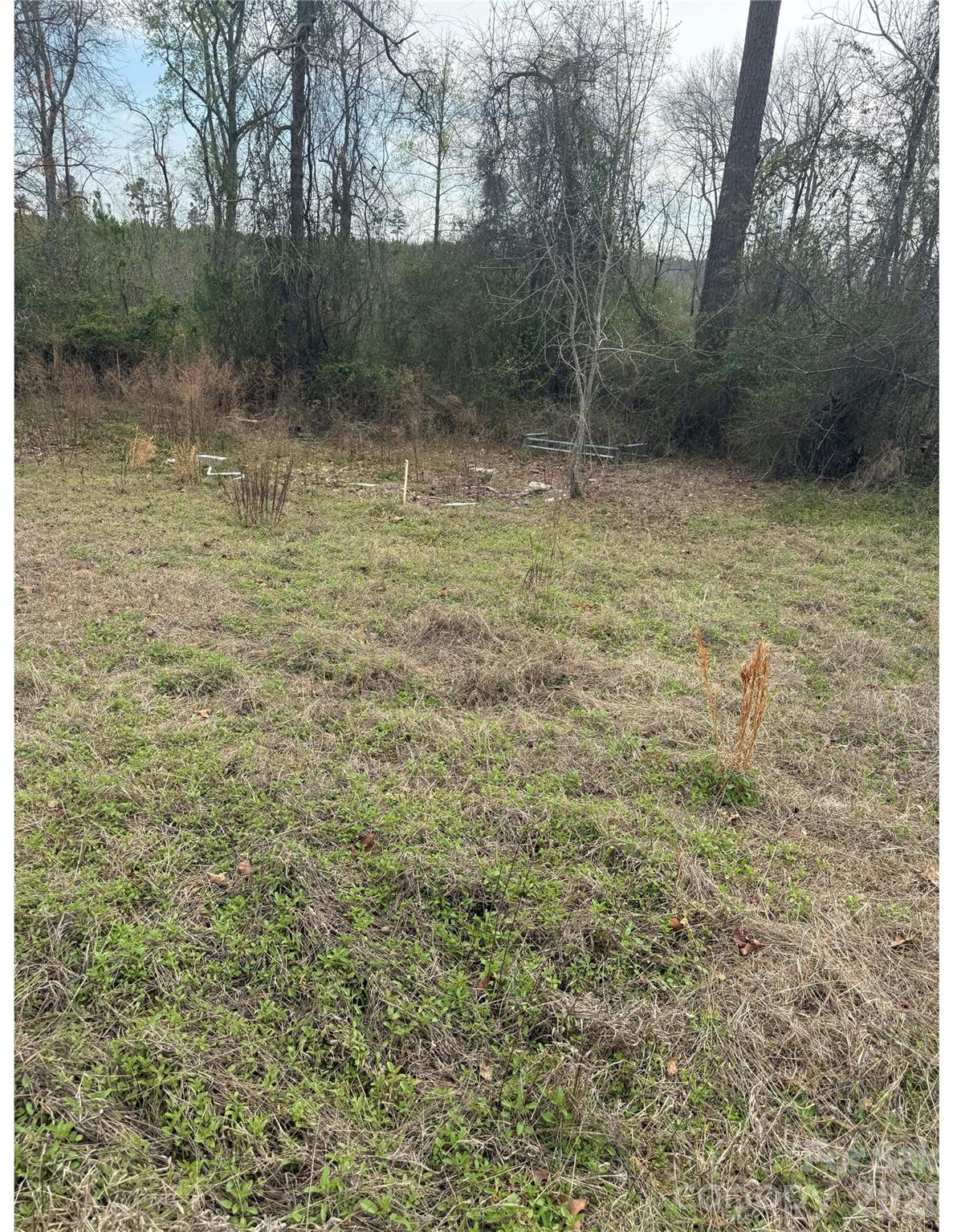 38 Short Eason Road Ruby, SC 29741 - Photo 18 of 21