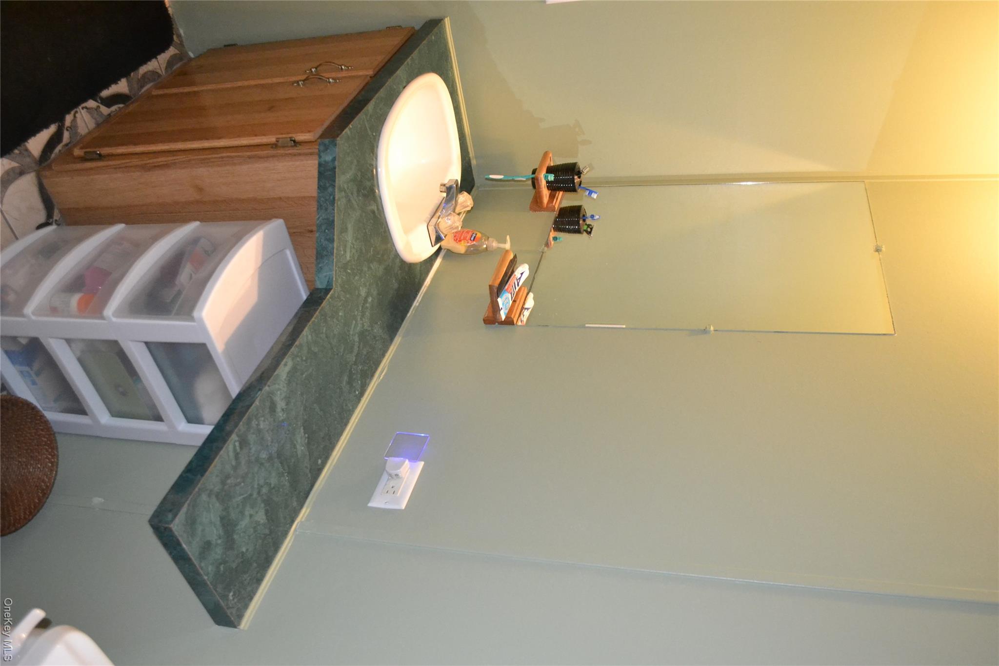 144 Bonnie Brook Road Roscoe, NY 12776 - Photo 15 of 34 a bathroom with a sink and a mirror