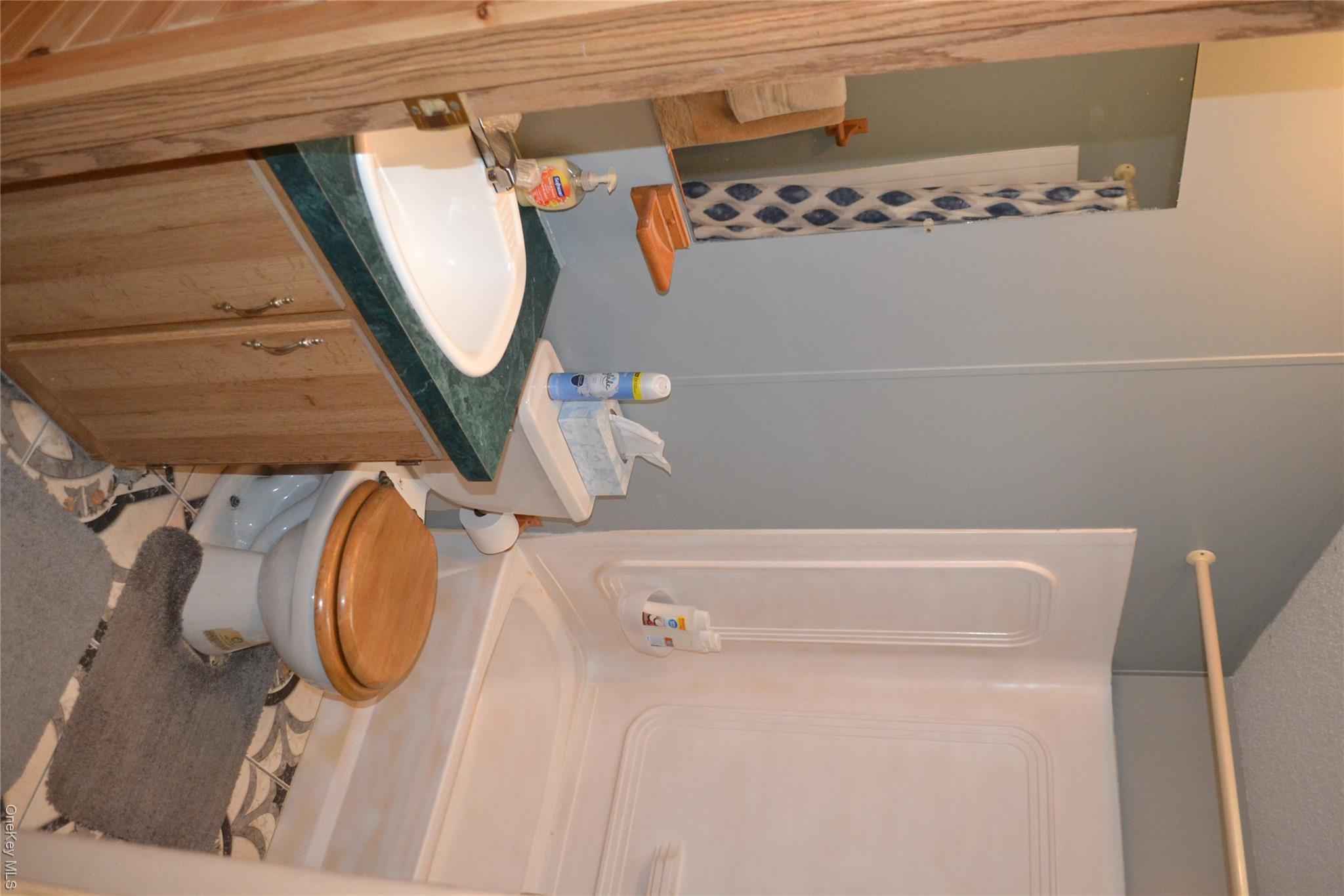 144 Bonnie Brook Road Roscoe, NY 12776 - Photo 20 of 34 a bathroom with a sink a toilet and a mirror
