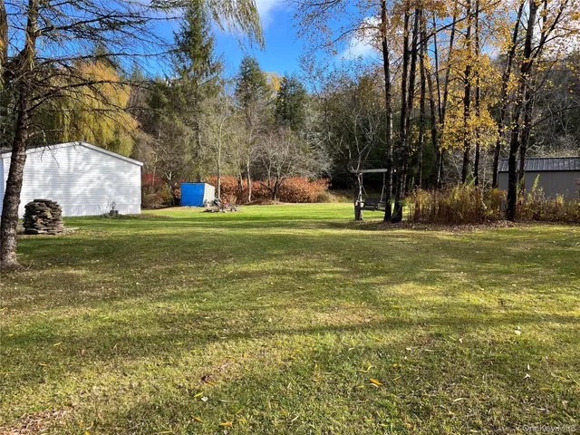 a view of backyard with tree