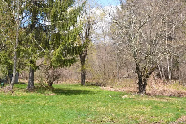 a view of a backyard with large trees