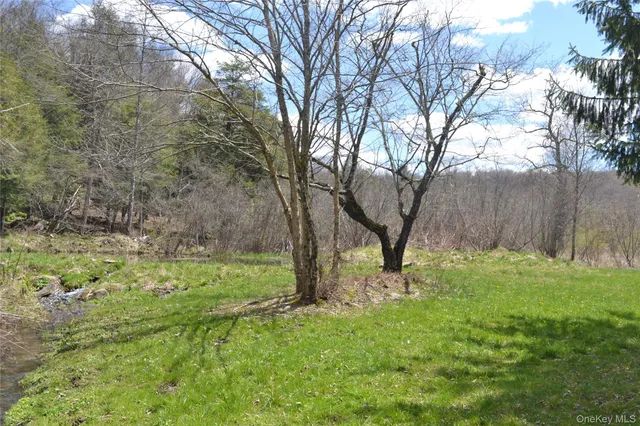 a view of backyard with green space
