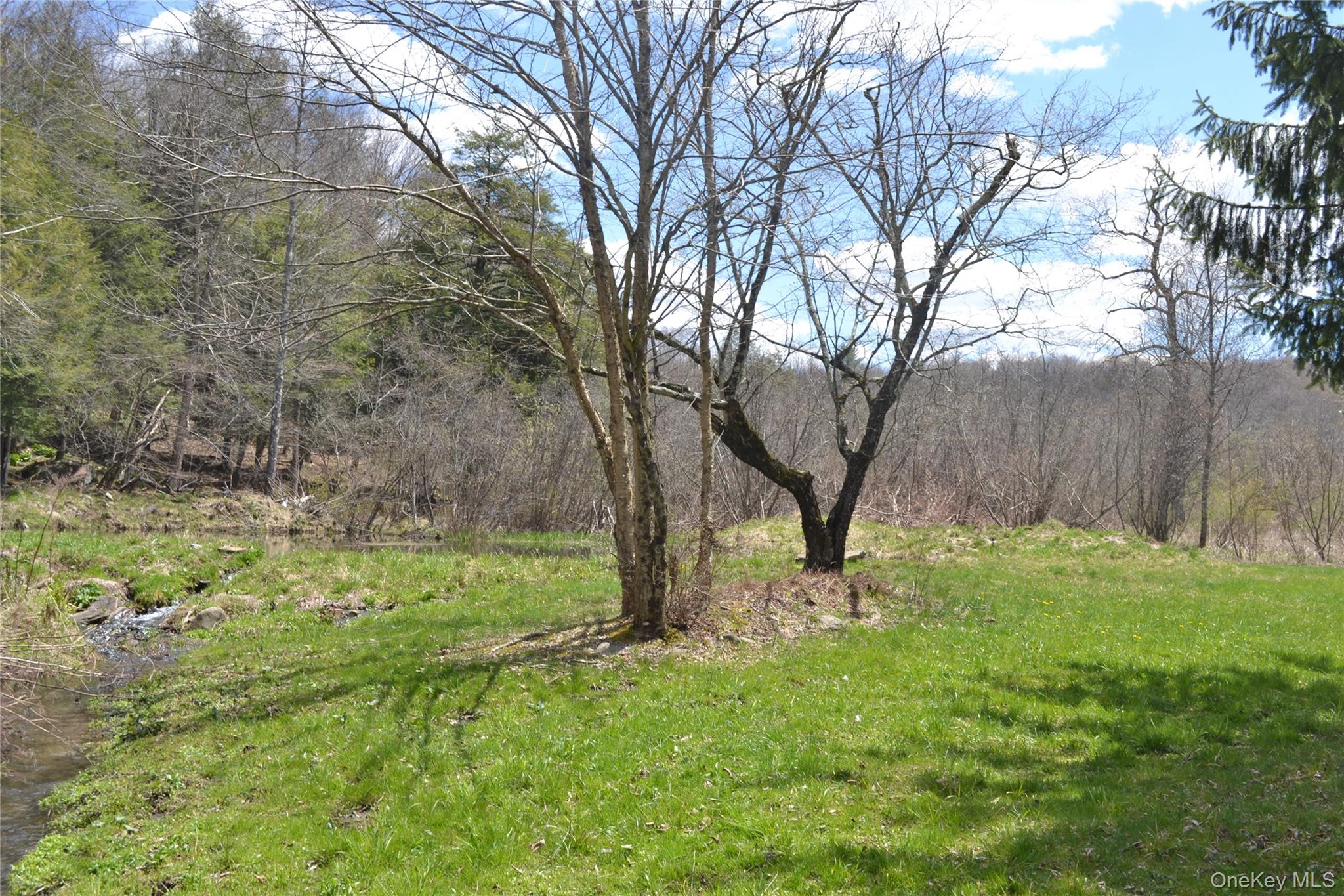 144 Bonnie Brook Road Roscoe, NY 12776 - Photo 26 of 34 a view of a backyard with large trees