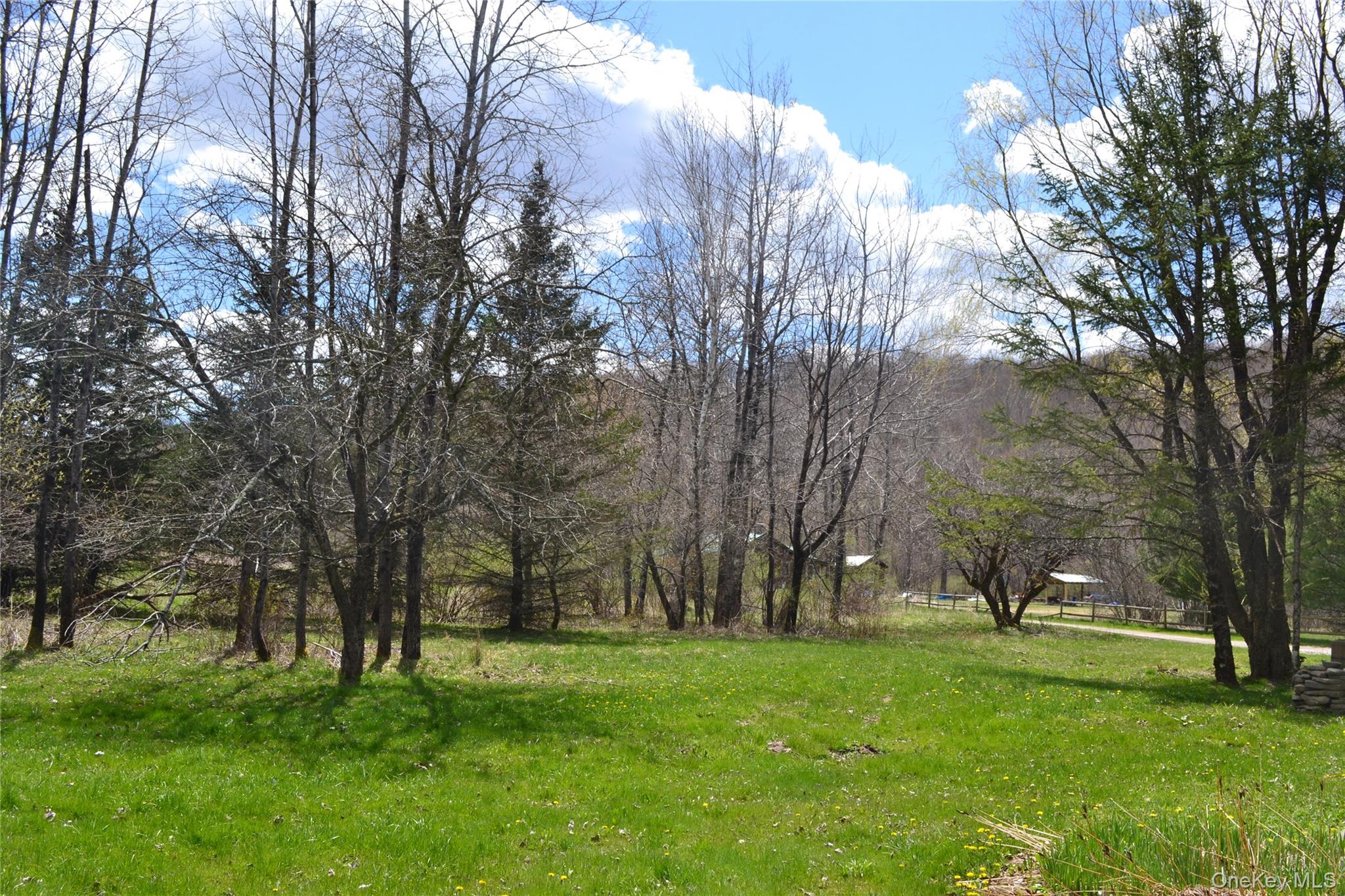 144 Bonnie Brook Road Roscoe, NY 12776 - Photo 30 of 34 a huge green field with lots of trees