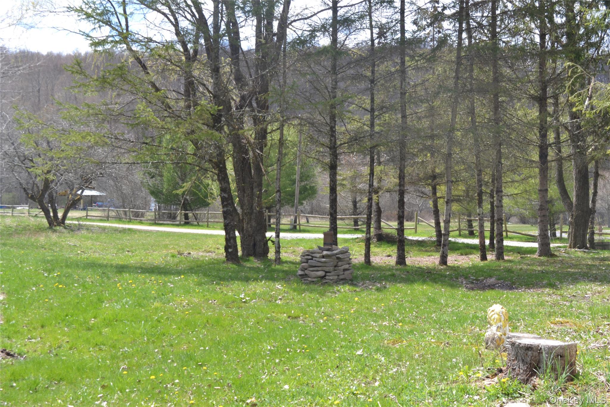 144 Bonnie Brook Road Roscoe, NY 12776 - Photo 31 of 34 a view of a park with large trees