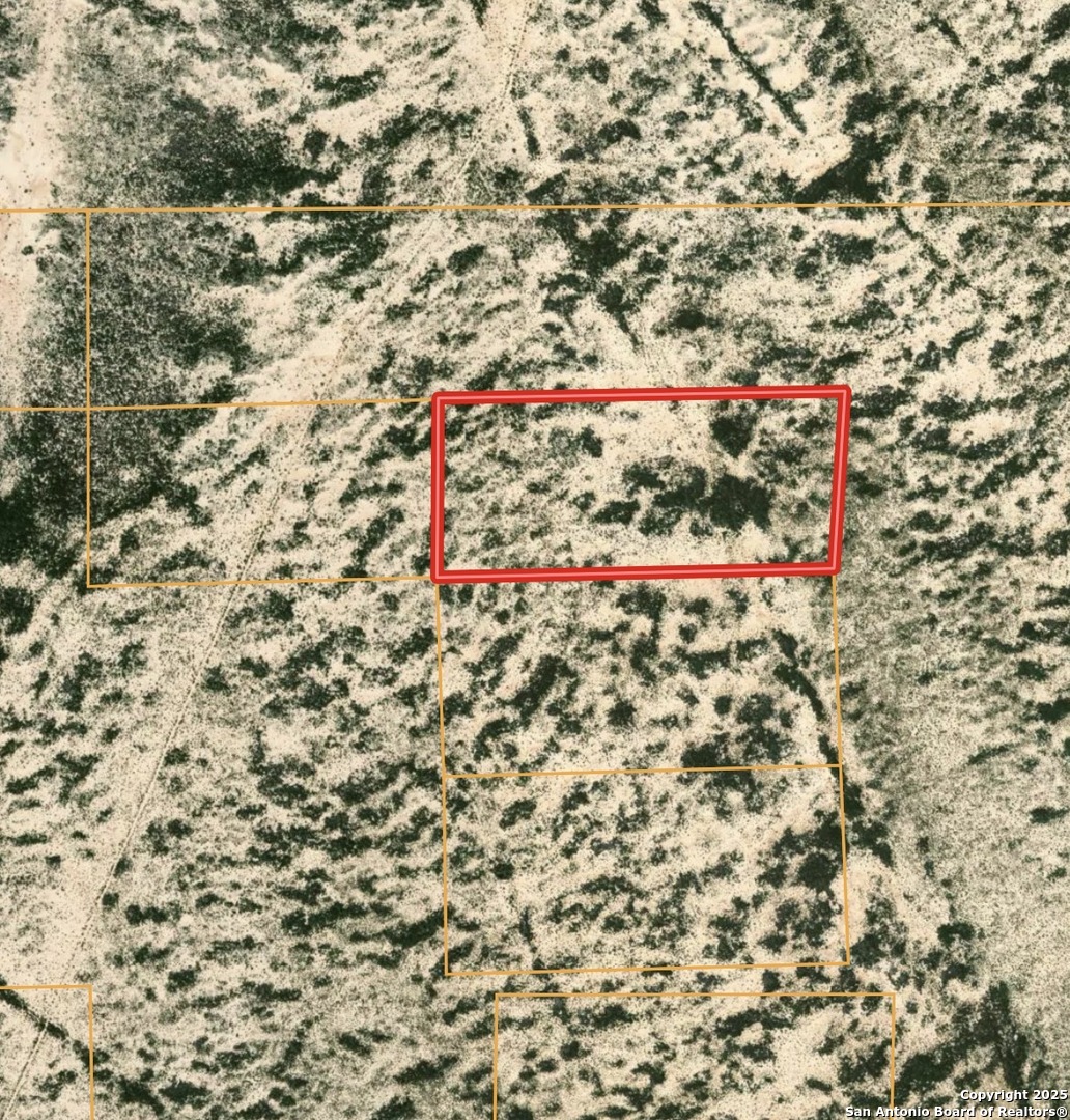 Tbd Tbd Tbd Fort Fort Stockton, TX 79735 - Photo 2 of 4 a view of a flower in a bunch of flowers