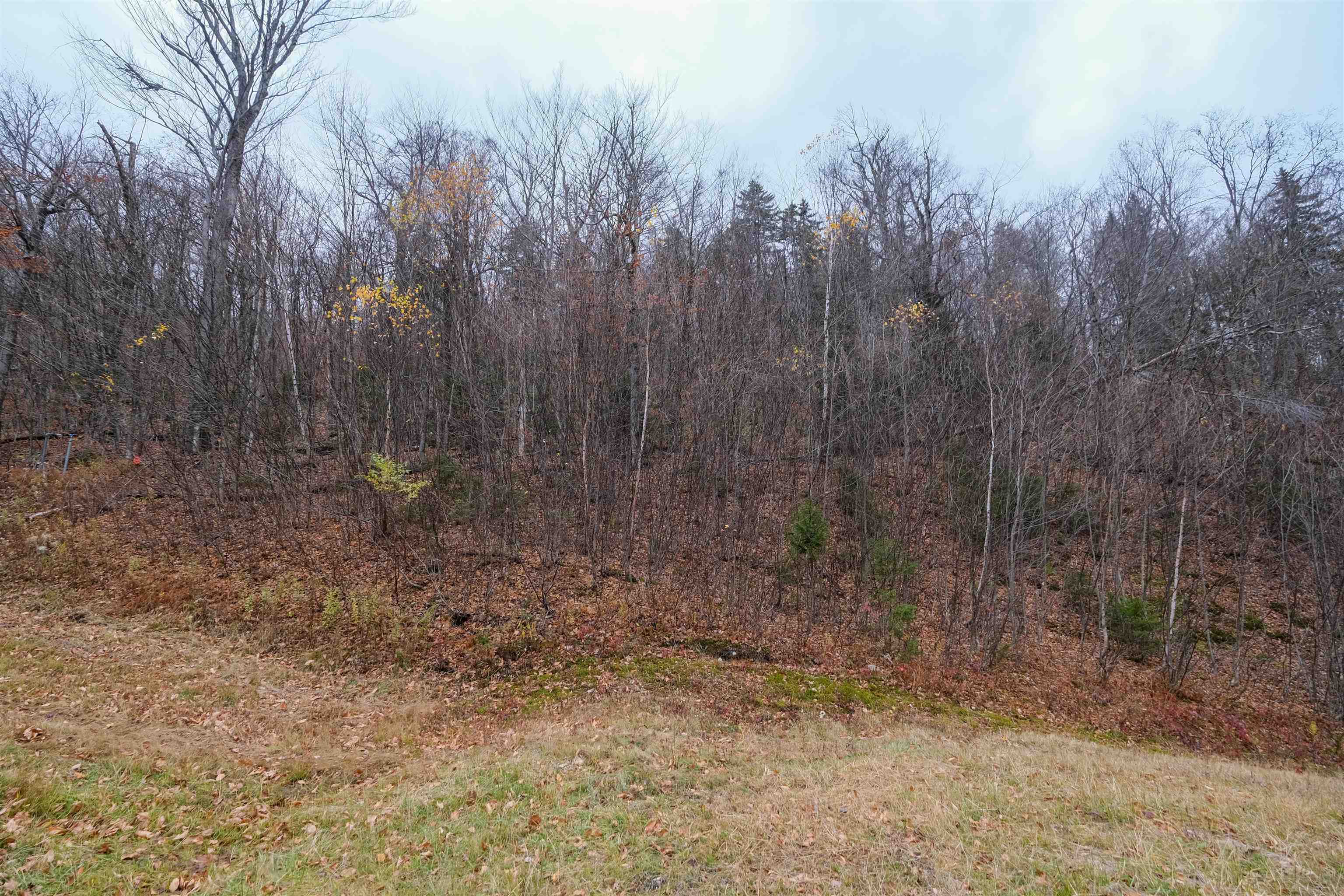 0 Mountain Road Ludlow, VT 05149 - Photo 12 of 25