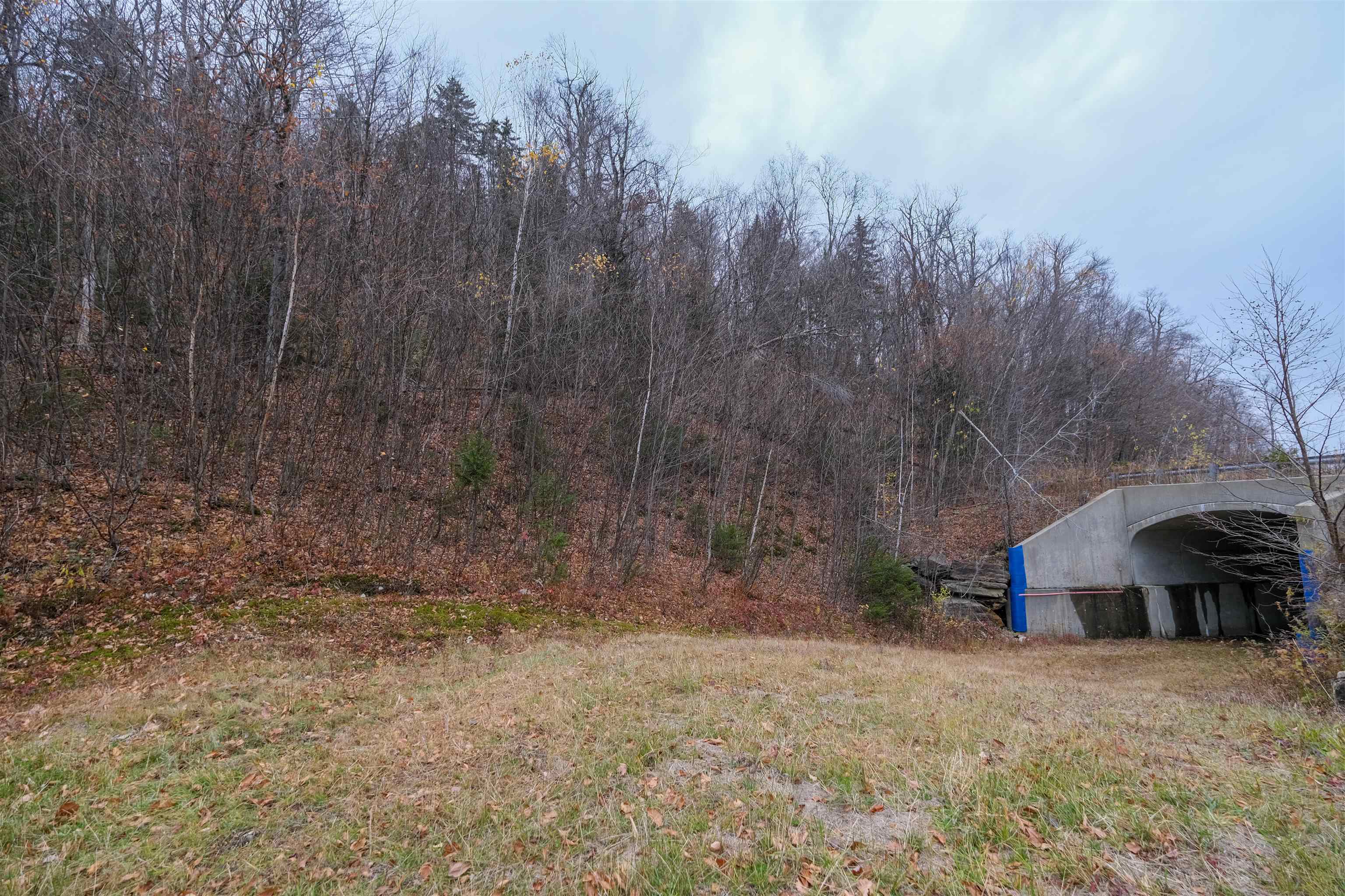 0 Mountain Road Ludlow, VT 05149 - Photo 13 of 25