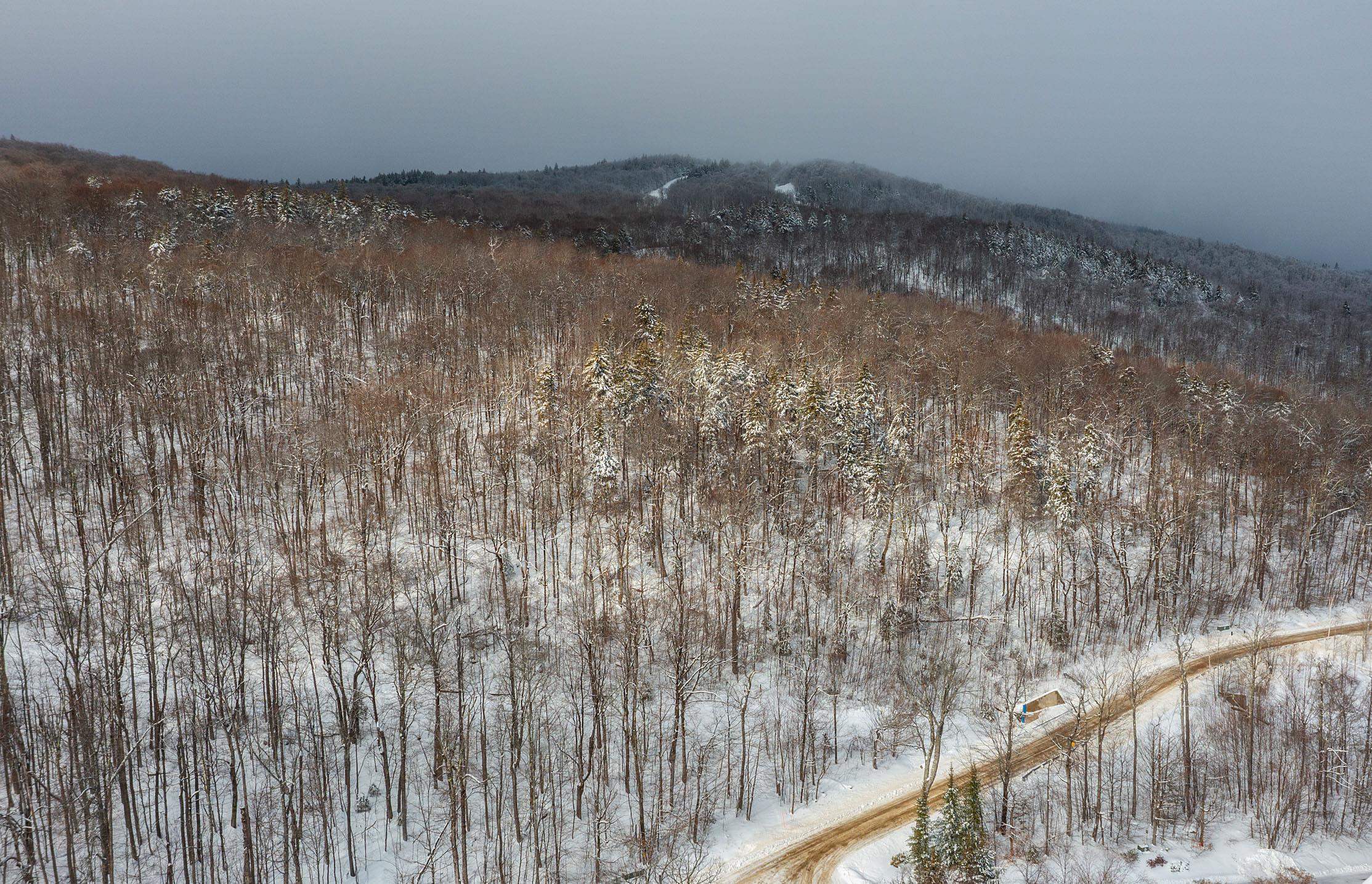 0 Mountain Road Ludlow, VT 05149 - Photo 2 of 25