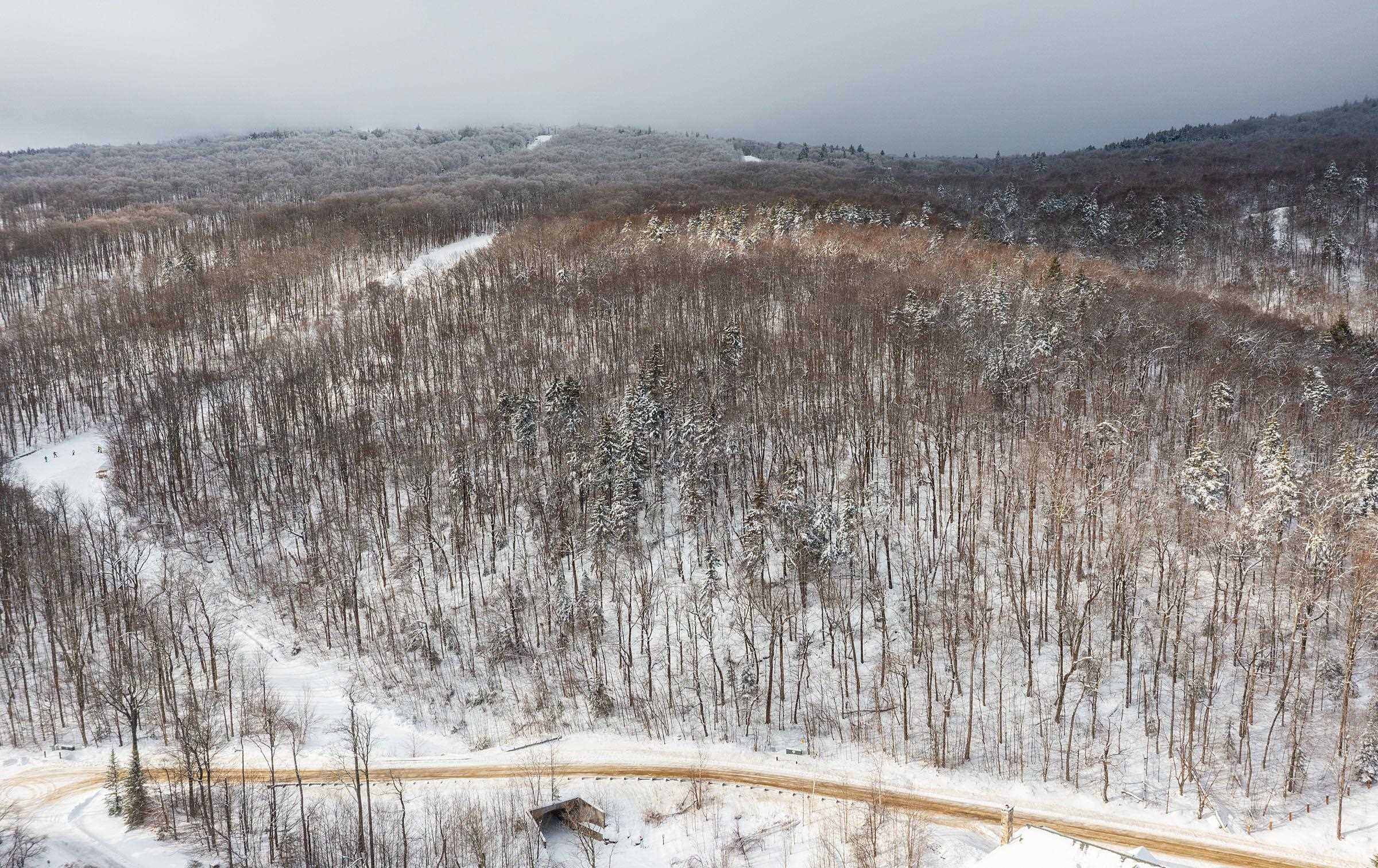 0 Mountain Road Ludlow, VT 05149 - Photo 4 of 25