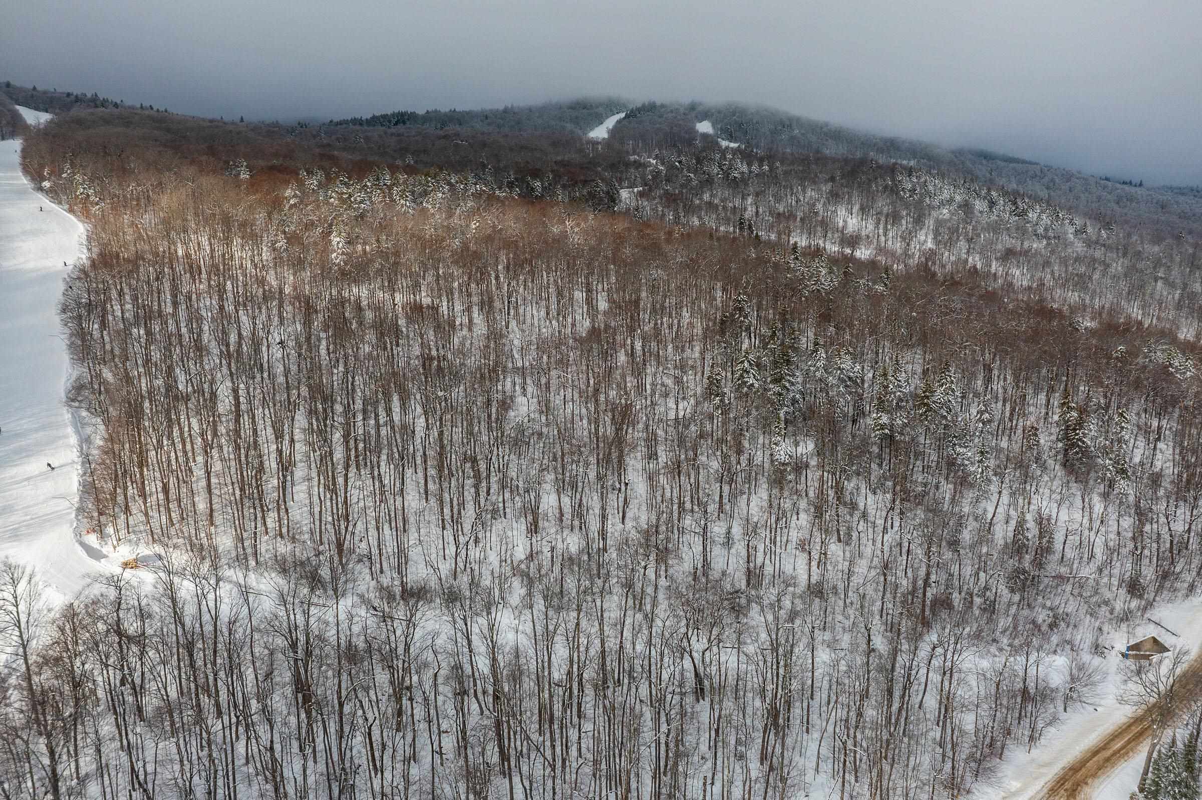 0 Mountain Road Ludlow, VT 05149 - Photo 5 of 25