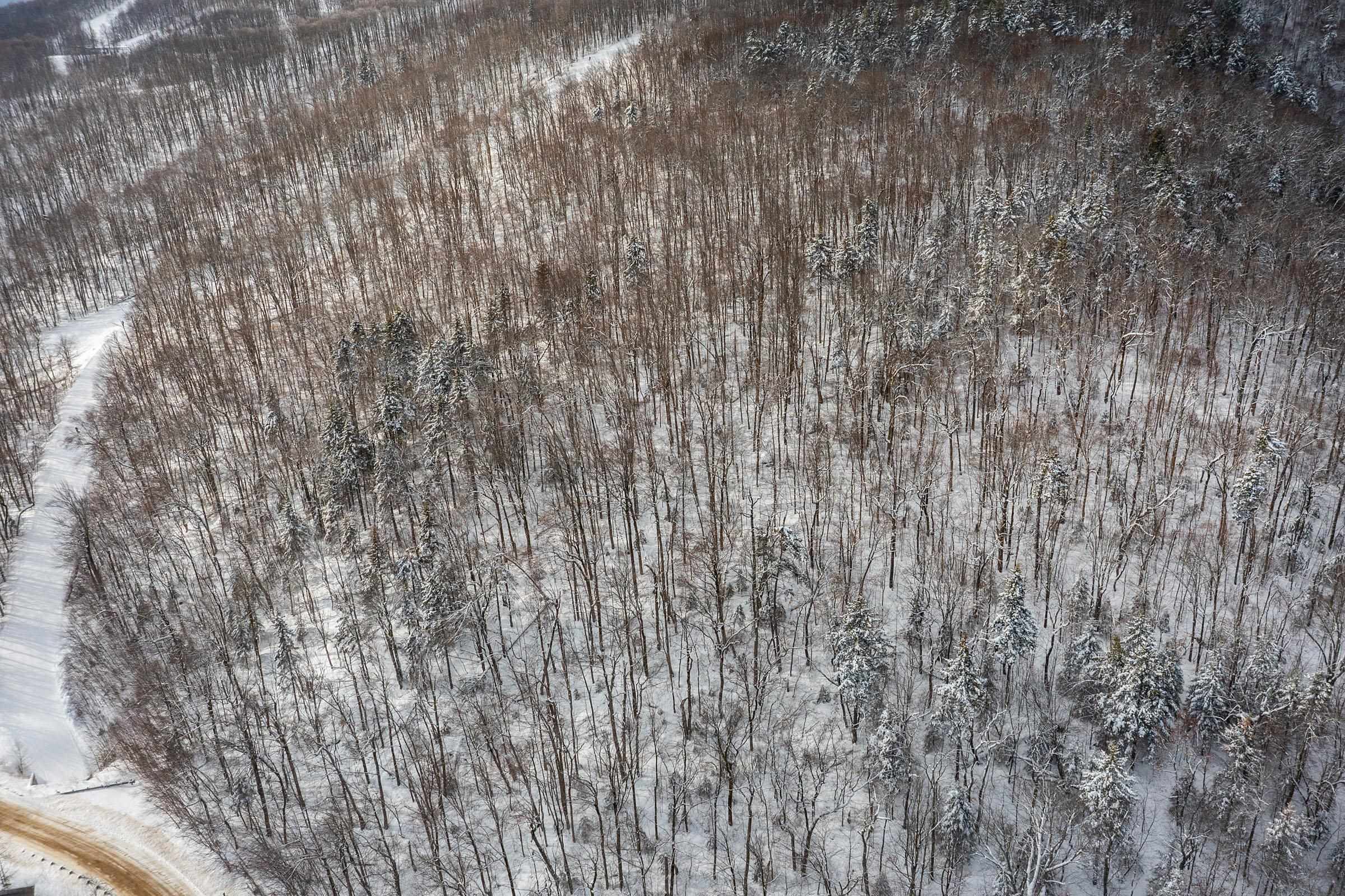 0 Mountain Road Ludlow, VT 05149 - Photo 6 of 25