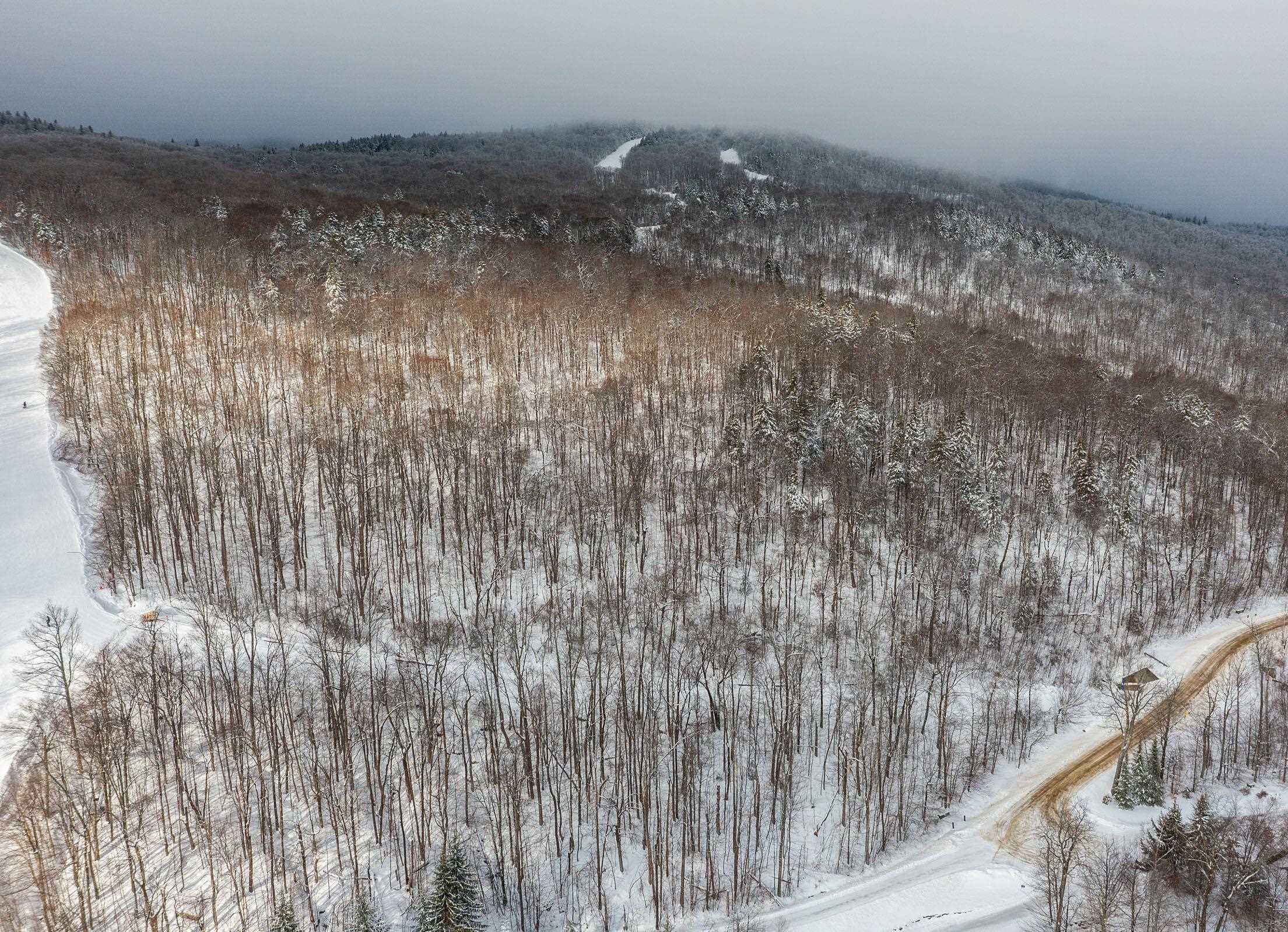 0 Mountain Road Ludlow, VT 05149 - Photo 7 of 25