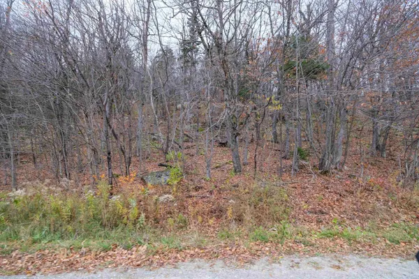 $2,200,000 | 0 Mountain Road, Ludlow, VT 05149