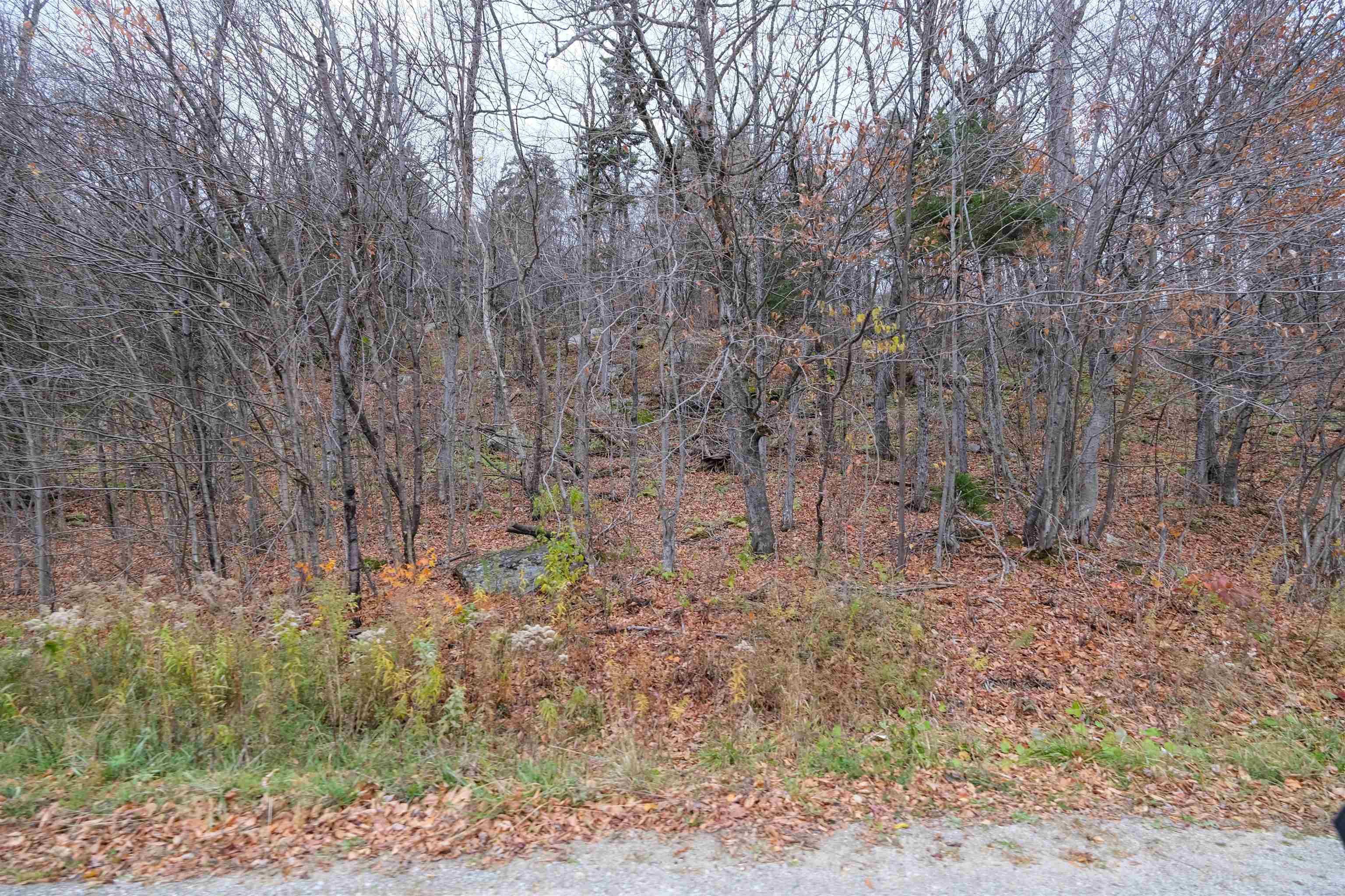 0 Mountain Road Ludlow, VT 05149 - Photo 9 of 25