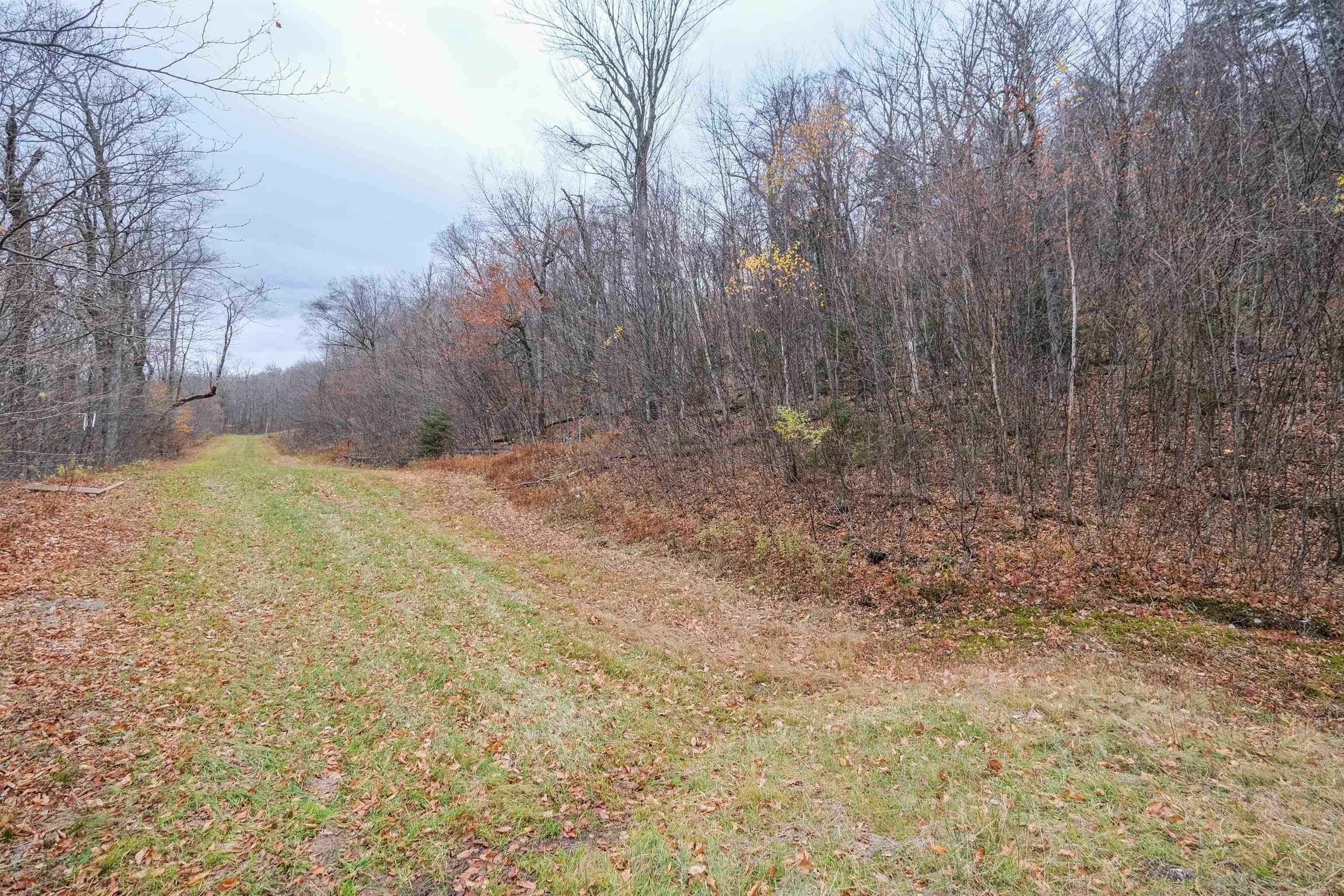 0 Mountain Road Ludlow, VT 05149 - Photo 10 of 25