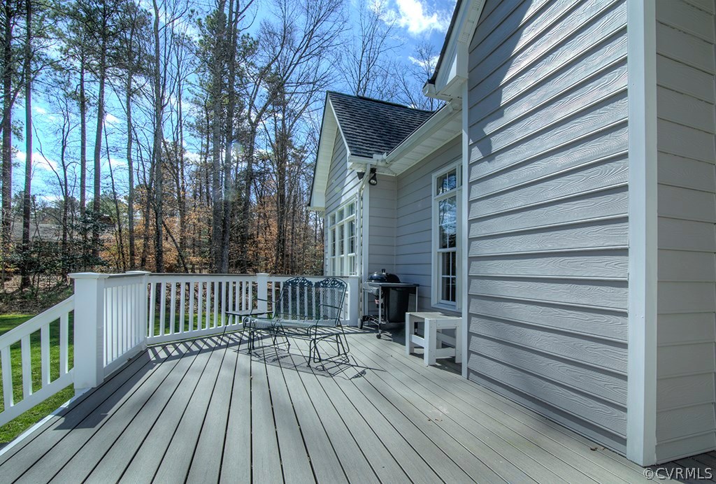 14412 Riverside Drive Ashland, VA 23005 - Photo 44 of 50 Gallery Image 44