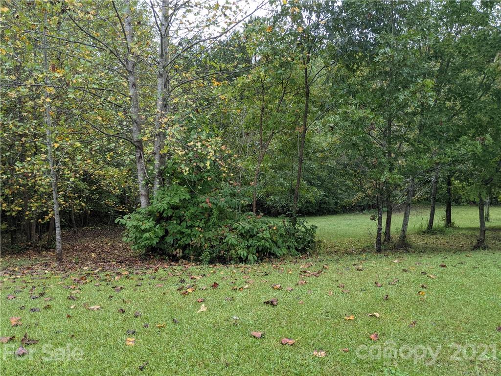 162 Robinson Creek Road Bostic, NC 28018 - Photo 33 of 35 a big yard with lots of green space and plants