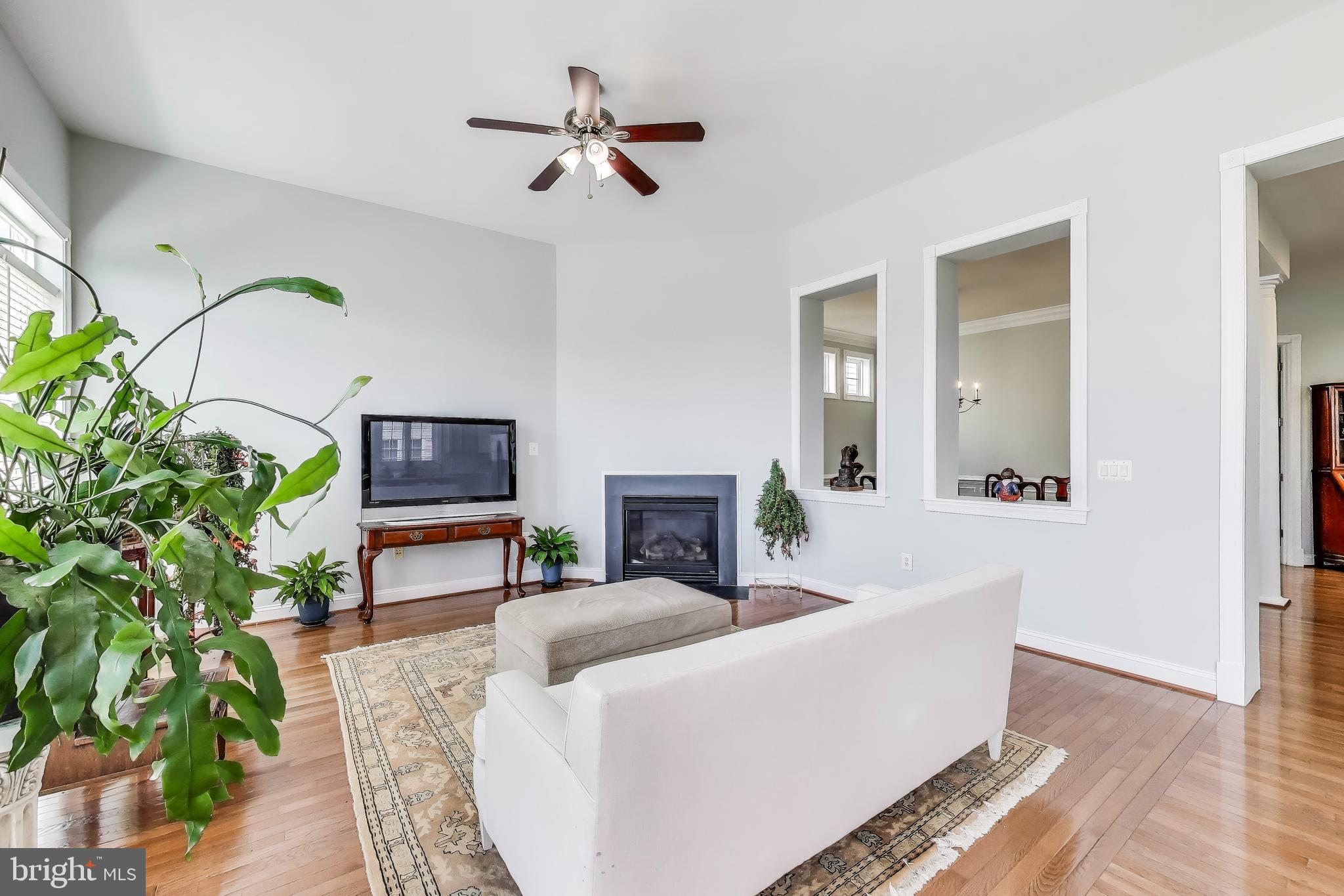 16180 Radburn Street Woodbridge, VA 22191 - Photo 14 of 54 a living room with furniture a fireplace and a potted plant