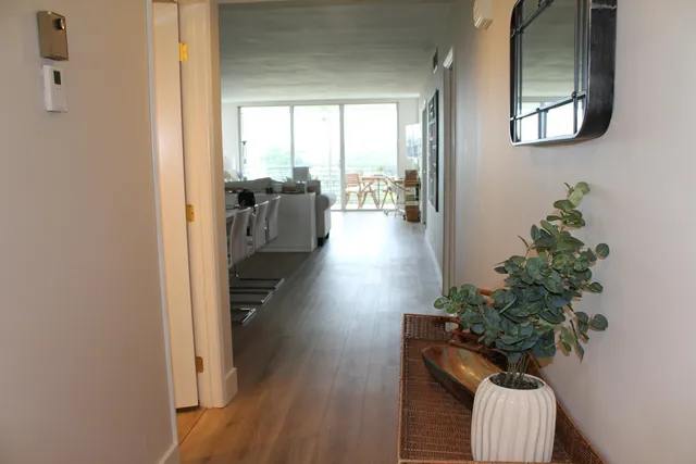a hallway with wooden floor and a potted plant