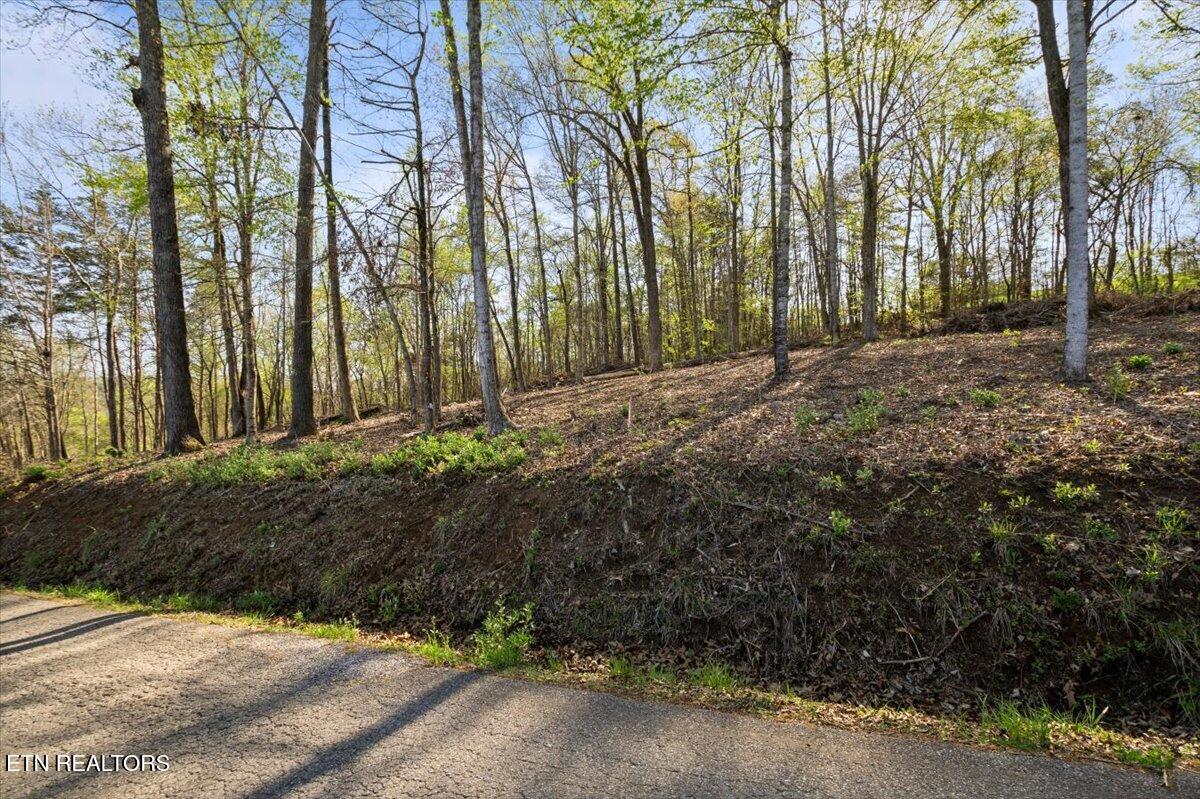 Lot 13 Demory Road La Follette, TN 37766 - Photo 11 of 20 10-Demory Rd