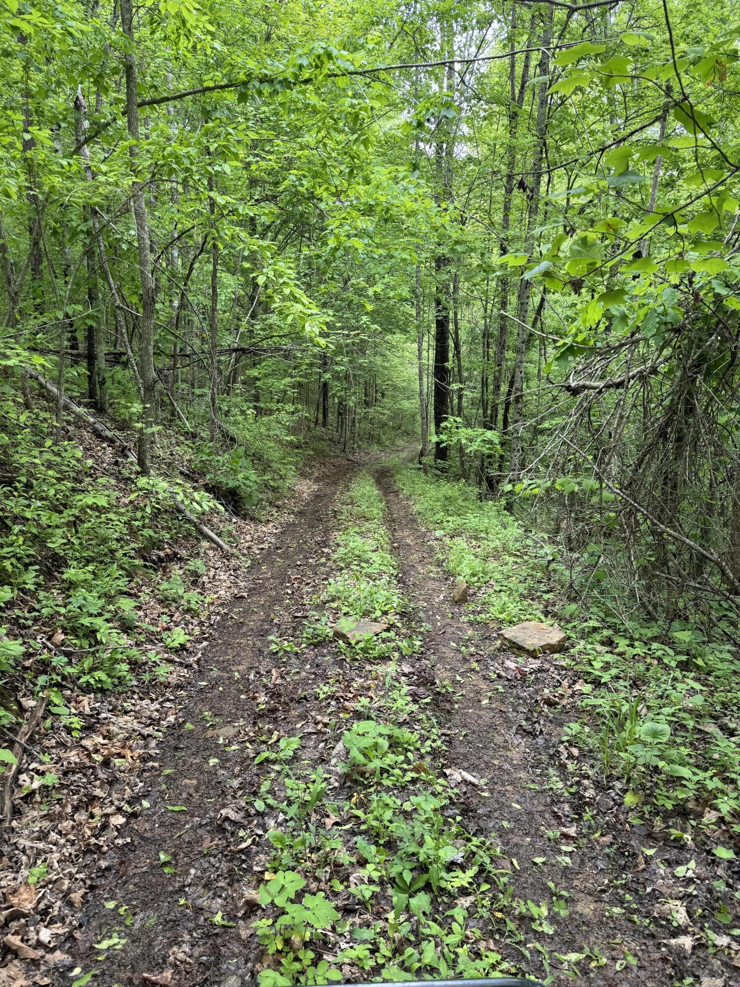 0 Van Hollow Road McKee, KY 40447 - Photo 5 of 11 IMG_1521 2