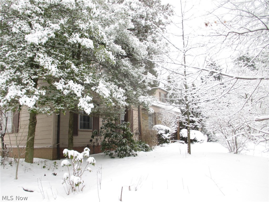 16401 South Woodland Road Cleveland, OH 44120 - Photo 9 of 9
