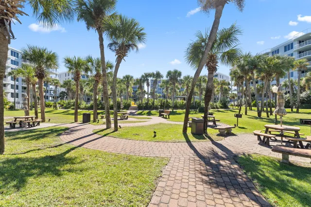 a view of a yard with plants and a bench