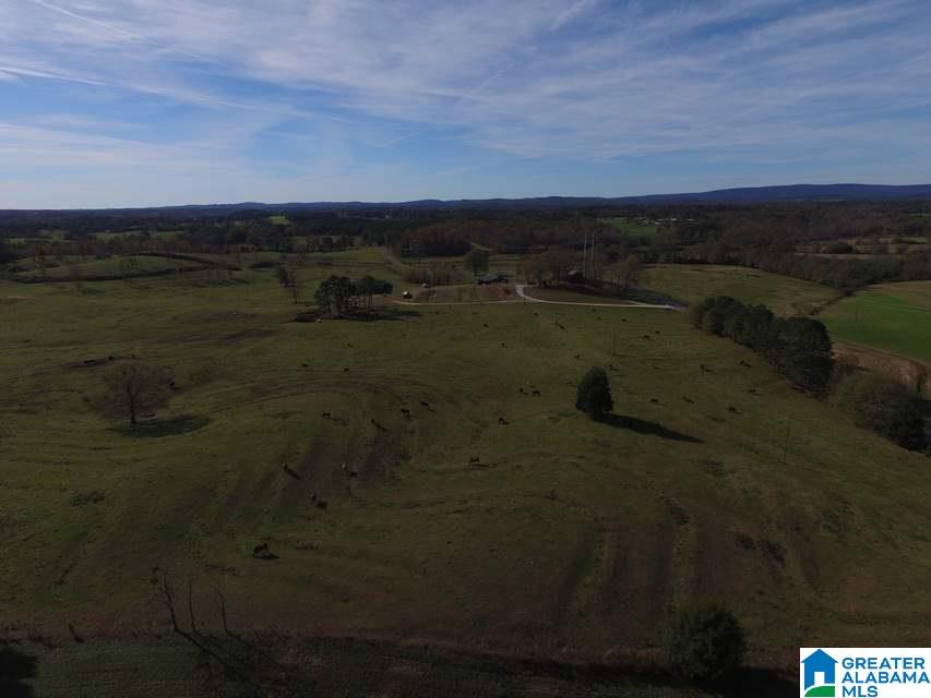 3258 Youngs Mill Road Lineville, AL 36266 - Photo 50 of 50