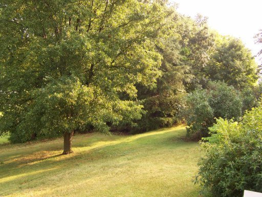 3126 Roberts Road Knoxville, TN 37924 - Photo 21 of 33 Additional Photo