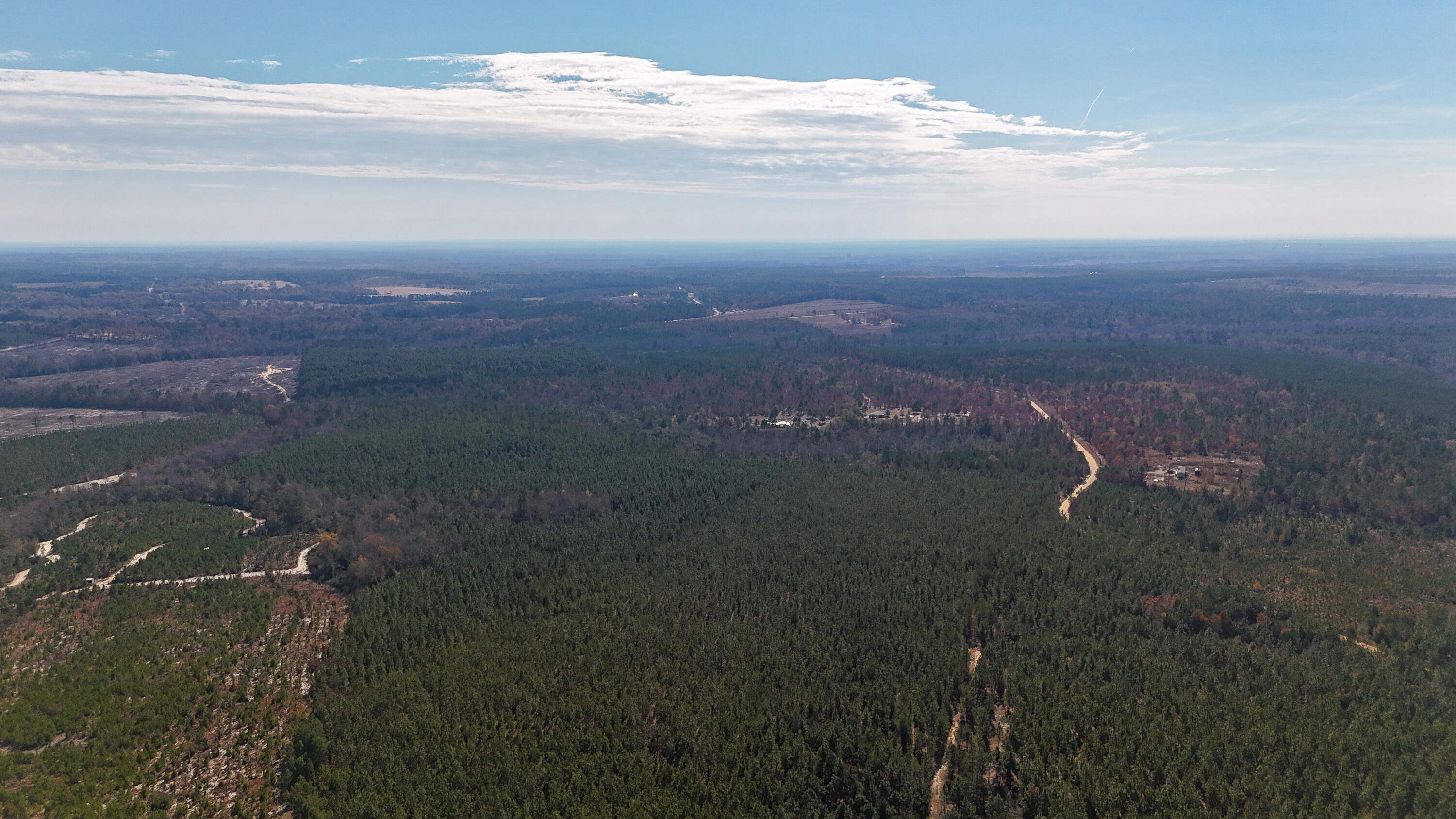 0 Beaver Dam Road Cassatt, SC 29032 - Photo 11 of 14 Compass South Land Sales Prickly Pear-11