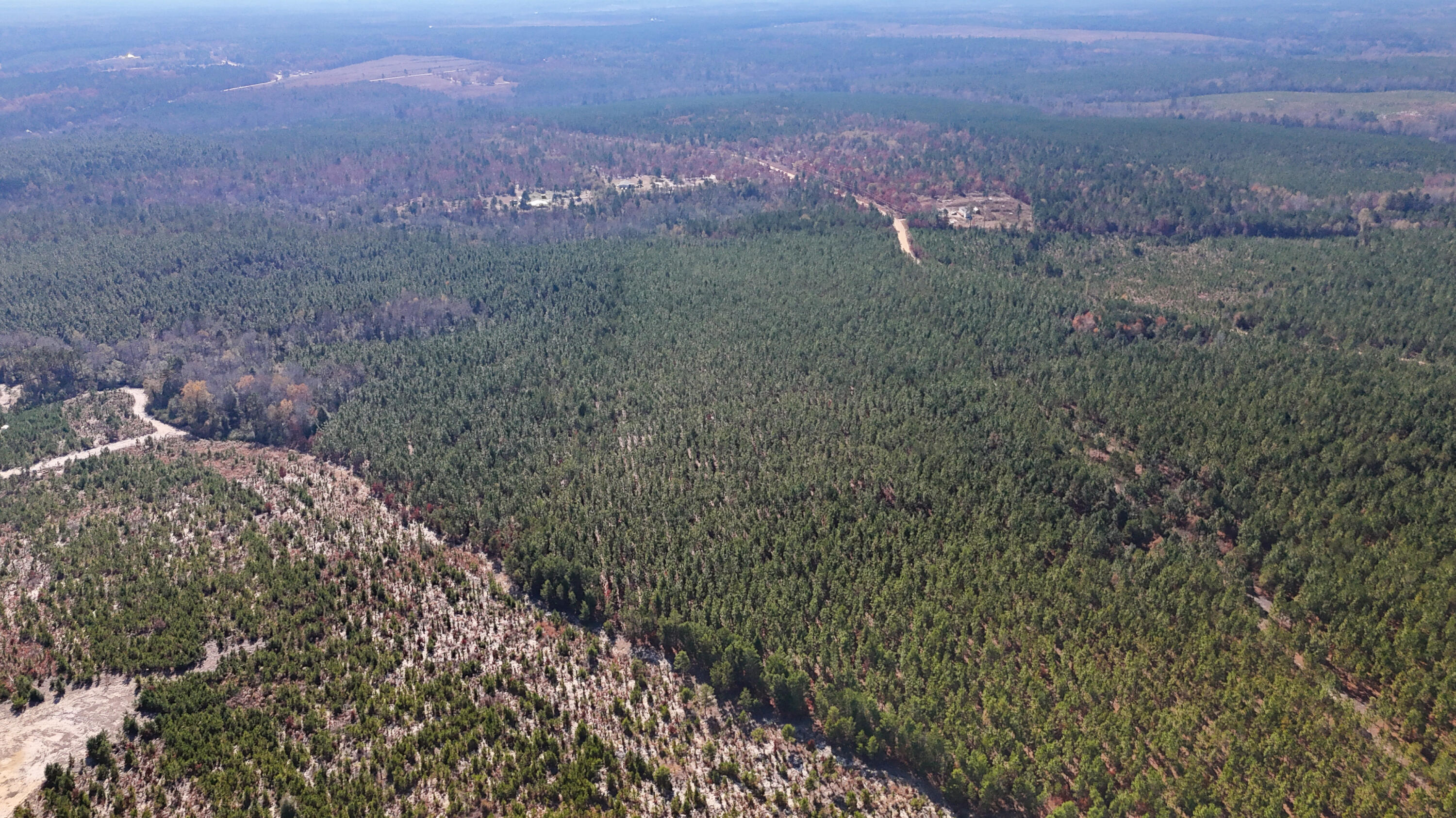 0 Beaver Dam Road Cassatt, SC 29032 - Photo 12 of 14 Compass South Land Sales Prickly Pear-12