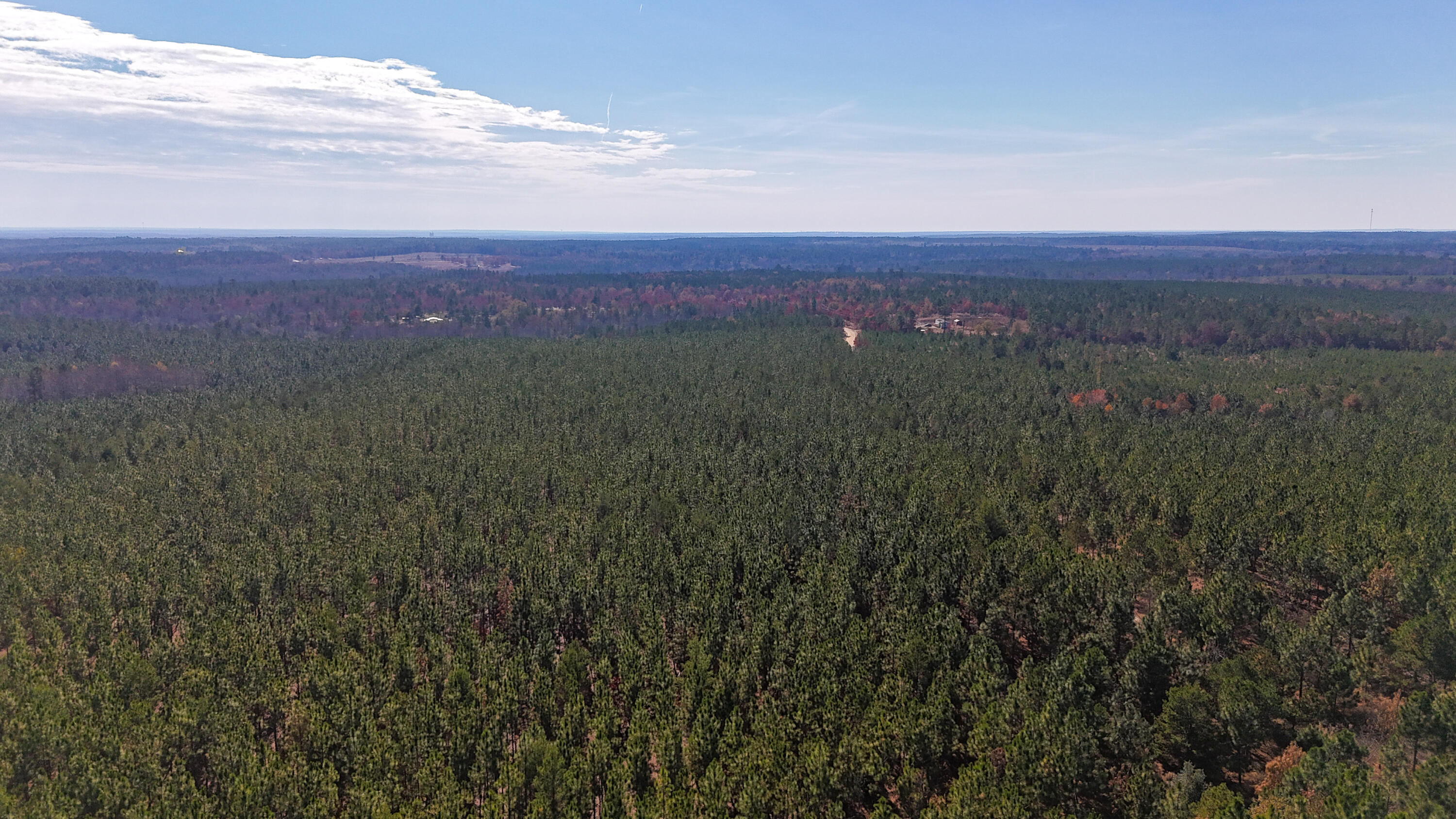 0 Beaver Dam Road Cassatt, SC 29032 - Photo 13 of 14 Compass South Land Sales Prickly Pear-13